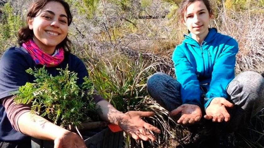 Jóvenes plantaron 690 cipreses en el cerro Currumahuida