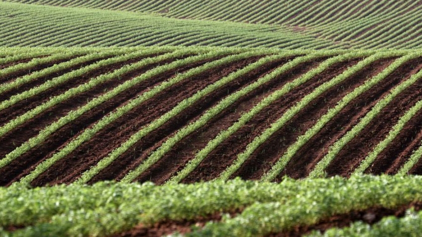Las tecnologías israelíes podrían impulsar la agricultura de Sudáfrica