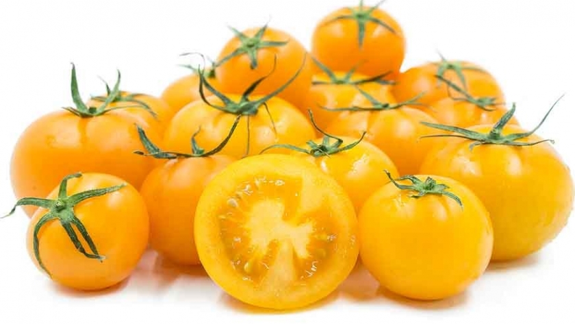 En la india desarrollan tomates amarillos a partir de edición genómica