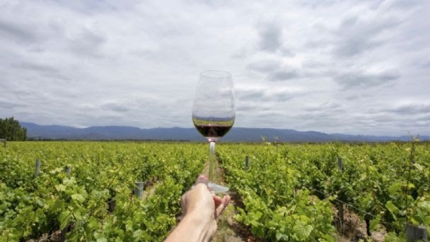 Mendoza será sede de la Conferencia Anual de las Grandes Capitales del Vino