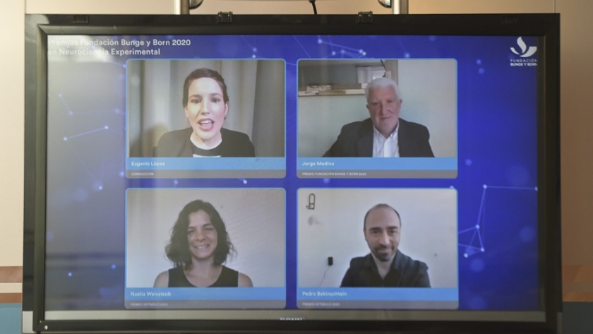 Premios Fundación Bunge y Born 2020