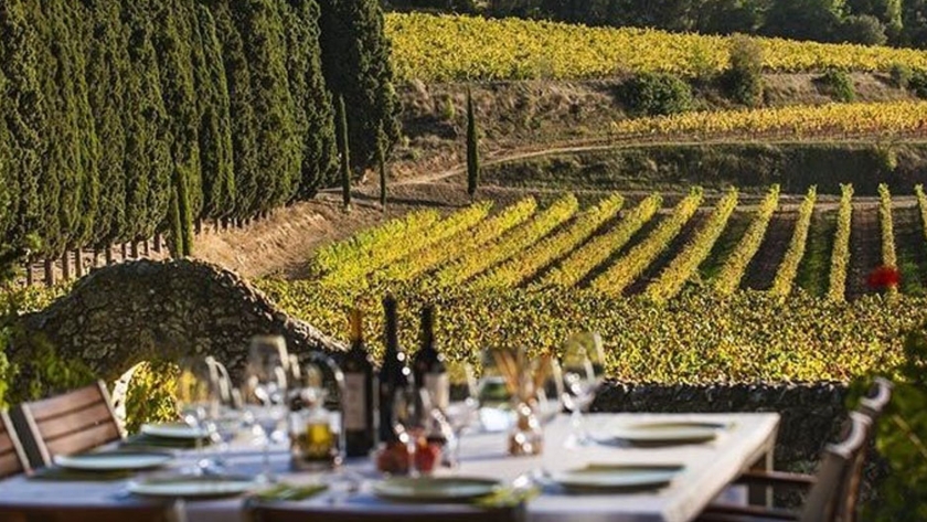 Bebidas y Sabores Pampeanos: una recorrida por la producción local