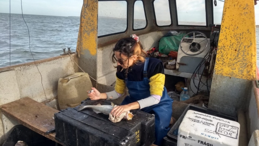 Monitoreo de la flota pesquera artesanal de Monte Hermoso