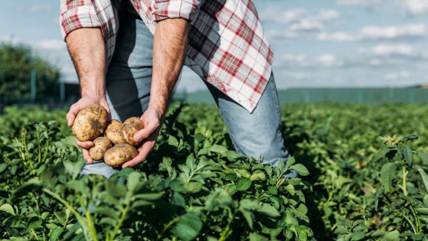Summit Agro presentó dos nuevas herramientas innovadoras para el cultivo de papa