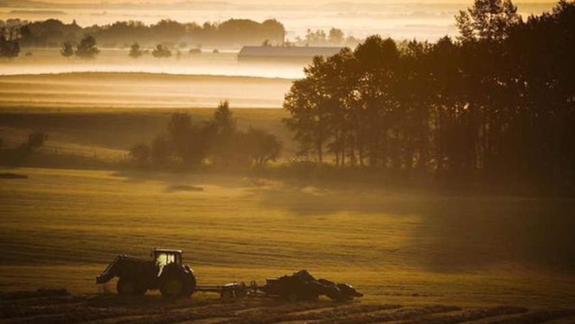 La industria agrícola canadiense busca agregar fuerza en las conversaciones comerciales entre Canadá y el Reino Unido