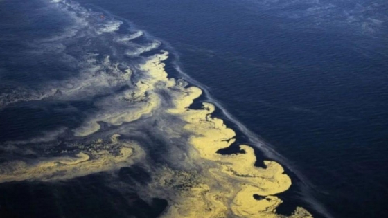 El océano pierde oxígeno y México está en alerta por la expansión de una gran zona muerta