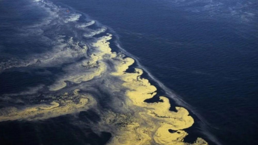 El océano pierde oxígeno y México está en alerta por la expansión de una gran zona muerta