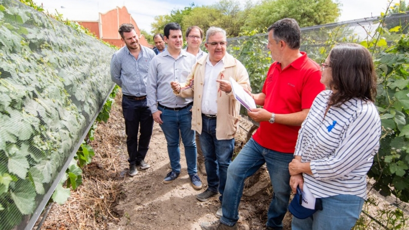 Raúl Jalil inspeccionó obras y recorrió proyectos vitivinícolas en Santa María