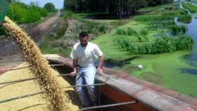 Brasil proyecta un récord histórico de casi 270 millones de toneladas de granos