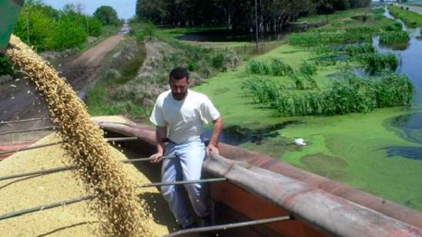 Brasil proyecta un récord histórico de casi 270 millones de toneladas de granos
