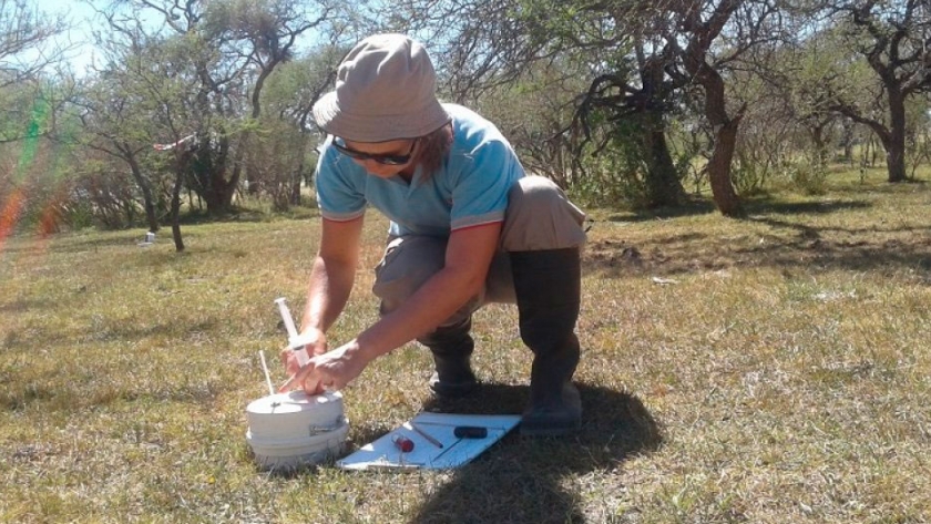 En bosques nativos, los sistemas ganaderos emiten menos óxido nitroso