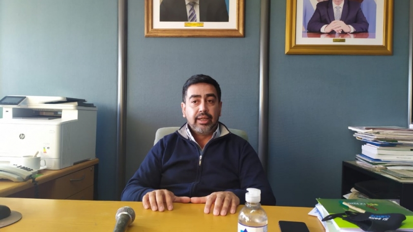 Triquinosis: reiteran sobre la importancia de analizar el animal faenado