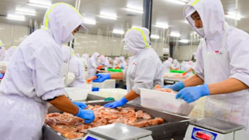 El crecimiento de la producción avícola en China se ralentizará en 2021 según el USDA