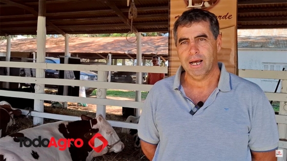 Un mano a mano con el impulsor de la raza Montbéliarde en Argentina