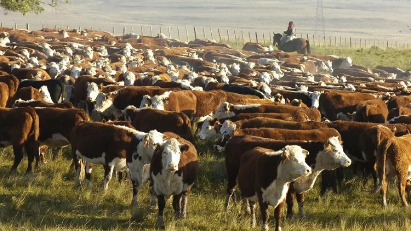 “Con las nuevas herramientas, la agricultura animal es parte de la solución climática”