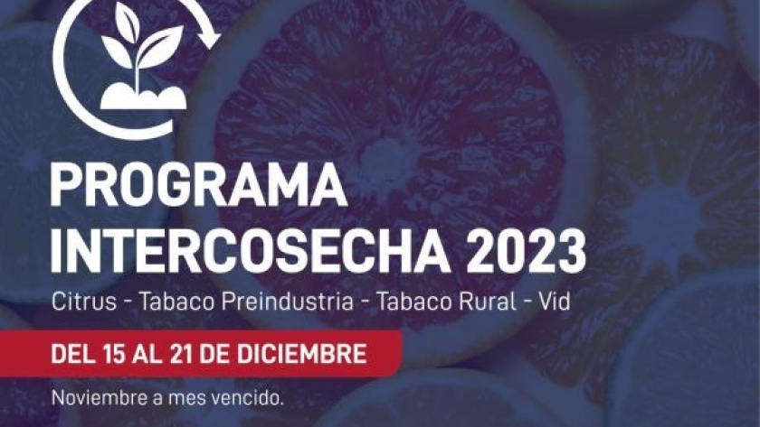 Comienza el pago del “Intercosecha”