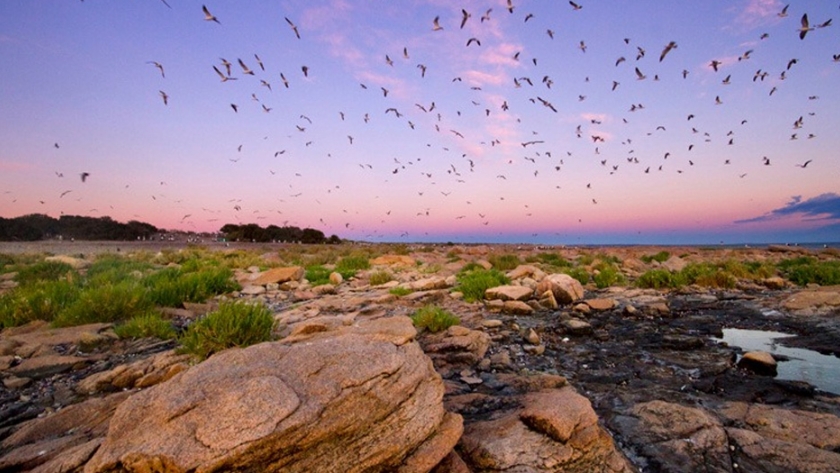 Un paso más cerca del Parque Nacional Islote Lobos