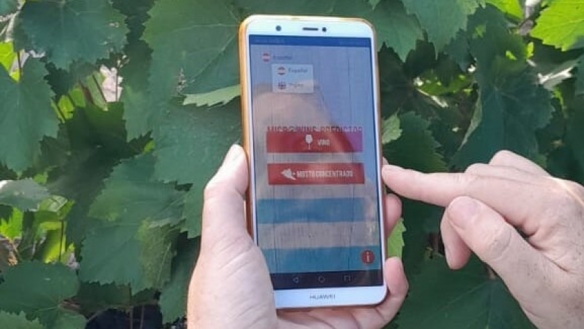 ¿De qué se trata la app que corrige los defectos del vino y el mosto?