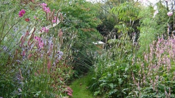 Jardinería sin químicos: tips para un jardín sostenible