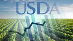 Recalculando: el retorno de la soja a los fundamentos de oferta y demanda 