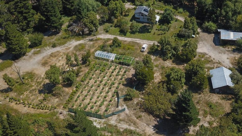 La primera Reserva Cannábica de la Patagonia Argentina