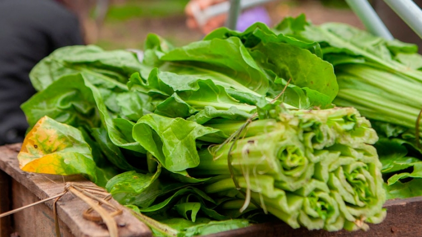 San Luis: Propician agregado de valor en origen en la producción de alimentos