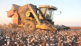 Dolbi: maquinaria agrícola al servicio de la cadena algodonera