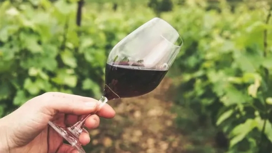 Debuta el primer vino patagónico del exportador líder de Argentina