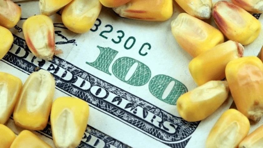 El “dólar maíz” trae el alivio que esperaba el Gobierno: ya ingresaron U$S 885 millones