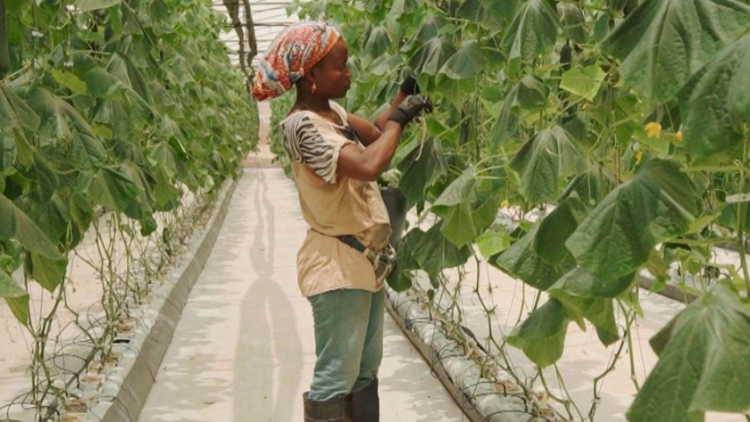 Angola, un ejemplo de diversificación económica