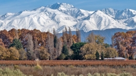 Un fuerte sismo sacudió la provincia de Mendoza