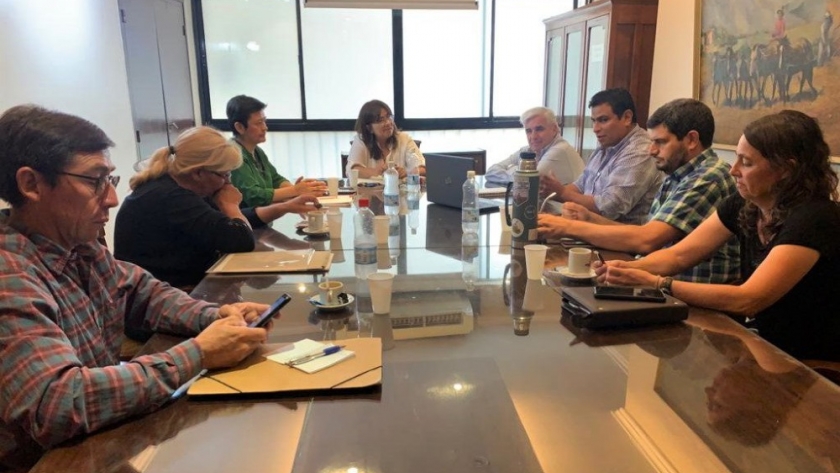 La Mesa Ovino Caprina analizó proyectos productivos