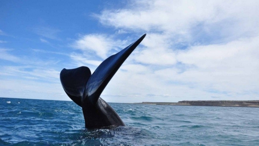 Gran fin de semana largo para el turismo en Chubut