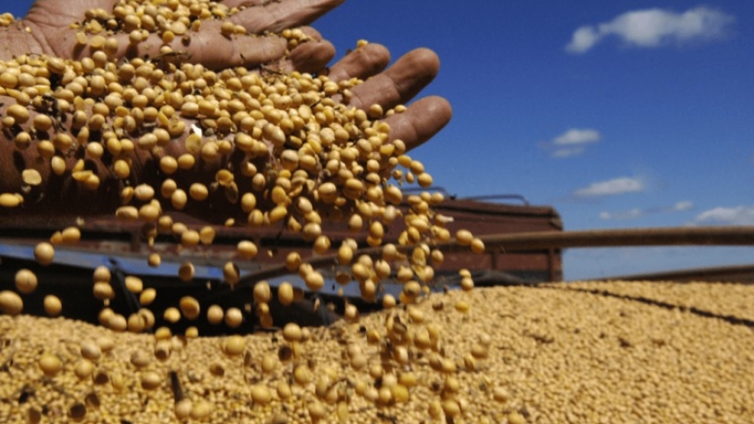 La industria de expeller de soja no cede terreno y se aproxima al millón de toneladas