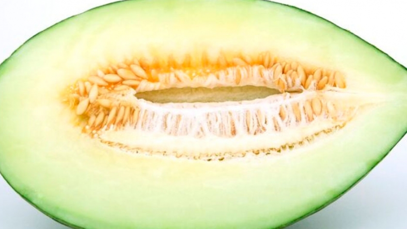 Mejorar la presencia de polinizadores en el cultivo del melón