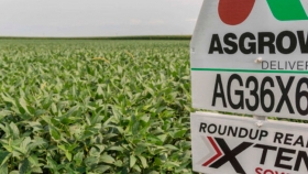 Europa aprobó la soja Intacta Xtend de la ex Monsanto, que al final nunca fue sembrada en la Argentina