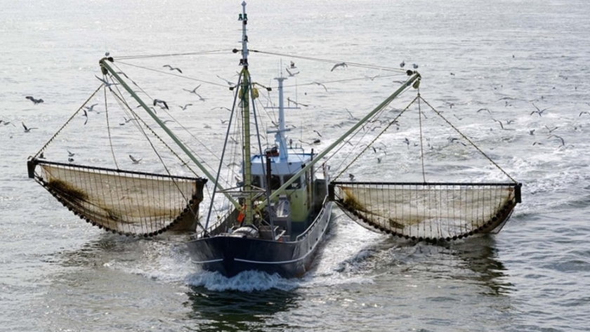 El gobierno del Chubut invita a la "ronda de negocios virtual e internacional de pesca"