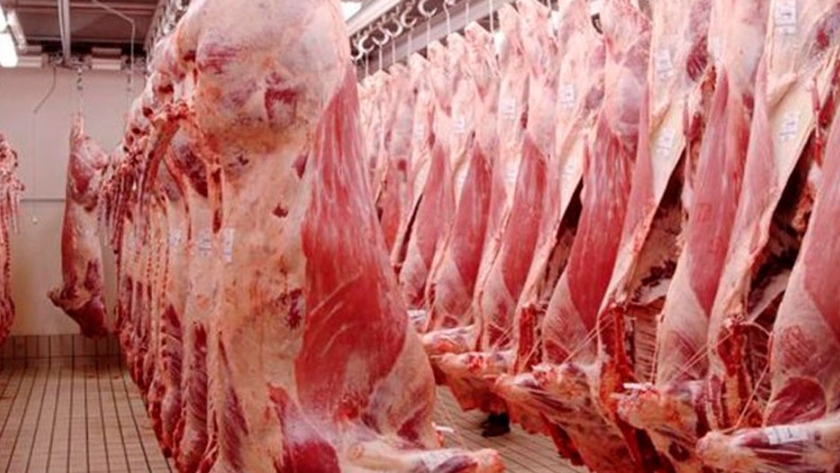 Producción, consumo y exportaciones de carne vacuna