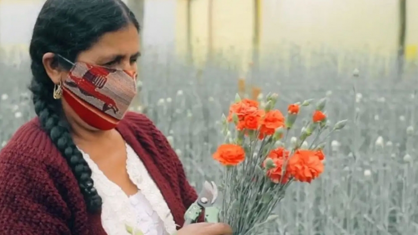 La floricultura de Cochabamba resiste el impacto de la pandemia