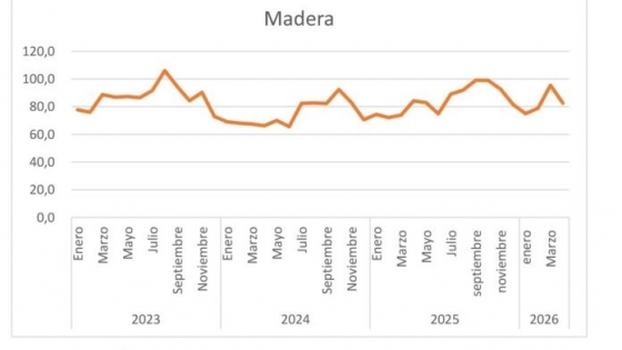 La industria maderera atraviesa una fuerte caída de la actividad y crece la preocupación por el cierre de aserraderos