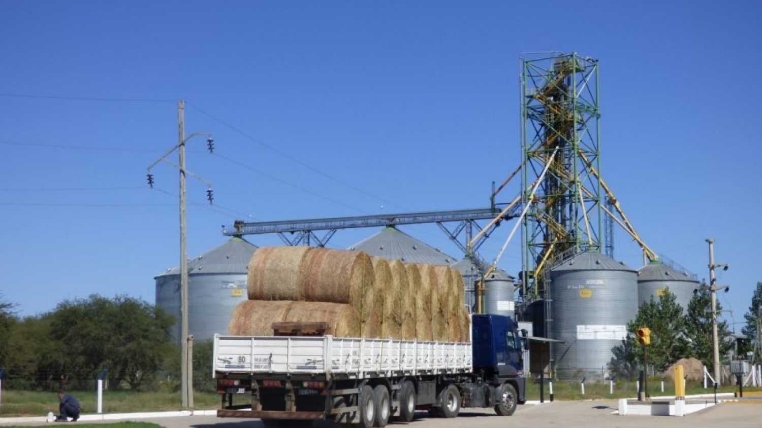 AgroZAL superó las 20.000 toneladas movilizadas en junio y consolidó su rol en la logística de exportación