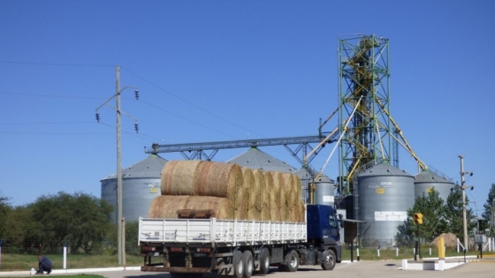 AgroZAL superó las 20.000 toneladas movilizadas en junio y consolidó su rol en la logística de exportación