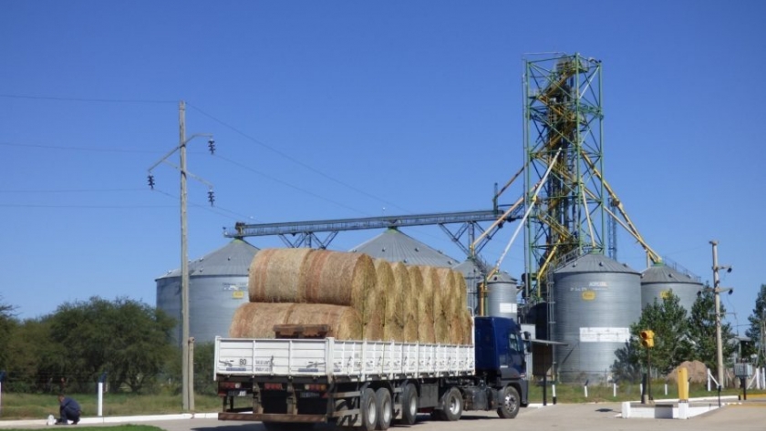 AgroZAL superó las 20.000 toneladas movilizadas en junio y consolidó su rol en la logística de exportación