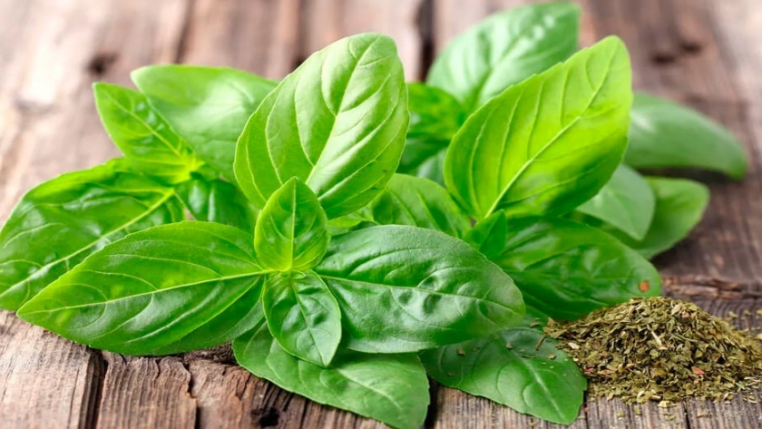 El cultivo de hierbas aromáticas