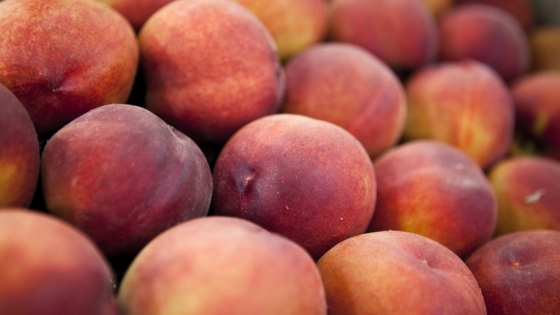 Tres nuevas variedades de durazno del INTA ya se venden en el mercado y apuestan a la producción local  Bajada