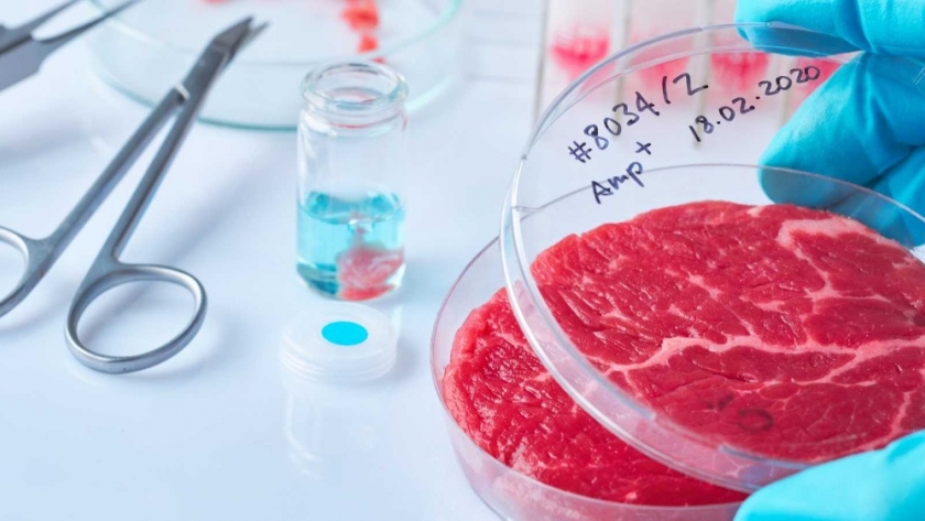 La carne vacuna editada genéticamente fue autorizada por la FDA para consumo humano
