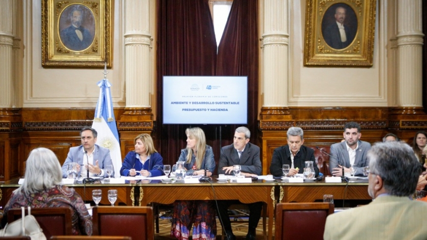 Cabandié participó de la reunión en el Senado por la creación del área protegida Agujero Azul