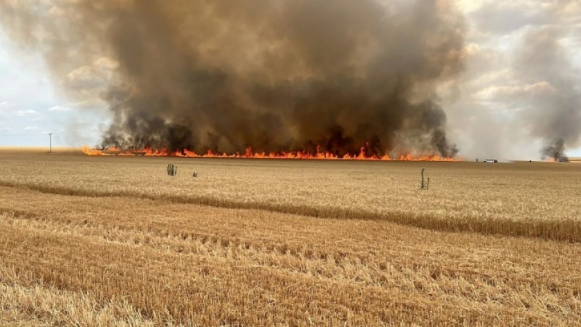 Como herramienta de manejo y prevención de incendios forestales, se aprueba la quema prescripta en Mendoza