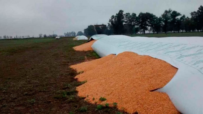 El almacenaje de grano en bolsas