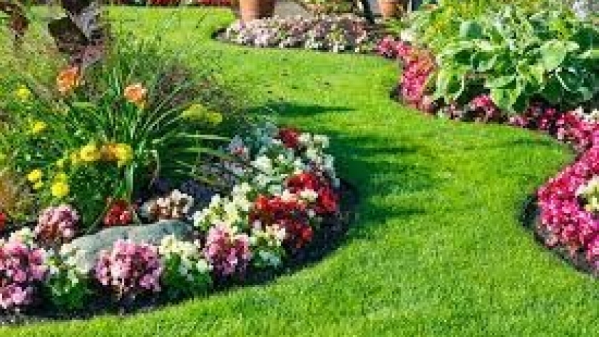 Jardines en verano: Tips para su mantenimiento